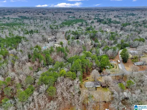 View/Area - 1702 Ridge Dr, Jasper, AL 35504 photo 5 of 5