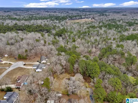 View/Area - 1702 Ridge Dr, Jasper, AL 35504 photo 3 of 5