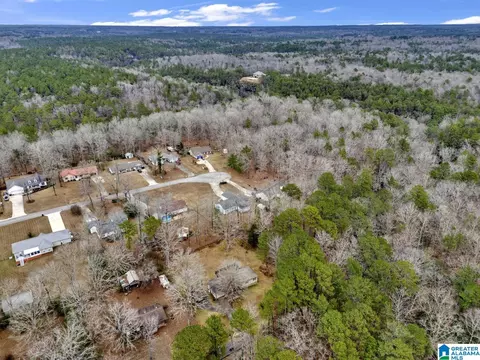 View/Area - 1702 Ridge Dr, Jasper, AL 35504 photo 2 of 5