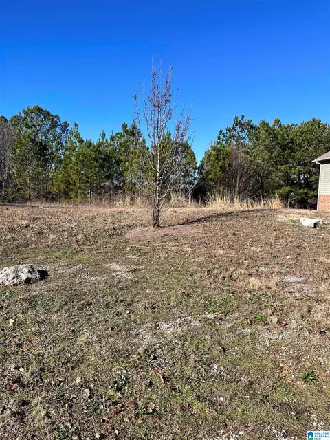 829 Waterford Cove Ln #694, Calera, AL 35040
