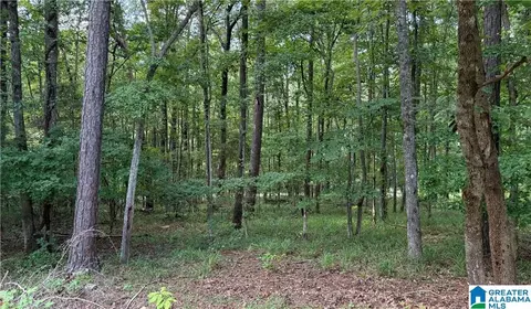 0 Bridewell Cir #LOT 11, Mc Calla, AL 35111