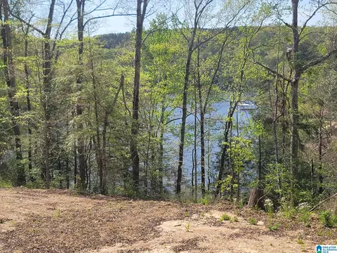 458 County Road 4036 #0, Arley, AL 35541