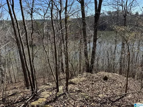 w lakeshore drive, Oneonta, AL 35121