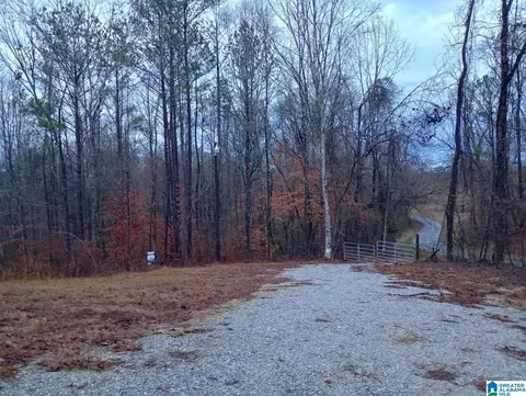 310 Fredric Ferry Rd #5 AC, Daviston, AL 36256