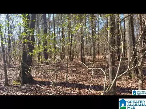 0 Morning Glory Cir #10, Talladega, AL 35160