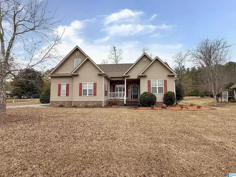 101 Thatcher Rd, Vincent, AL 35178