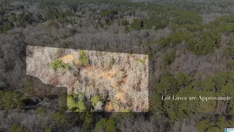 7019 Groundhog Rd #1, Morris, AL 35116