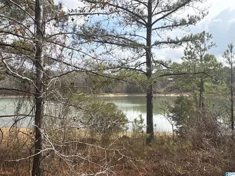 10 County Road 331 #1, Maplesville, AL 36750