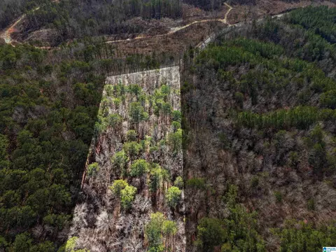 15045 Lock 17 Rd #1, Adger, AL 35006