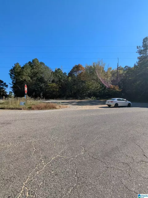 0 County Road 7 #1, Ashland, AL 35160