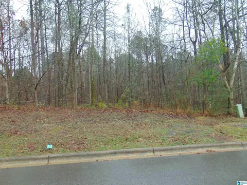 116 Jewell Cir #20, Birmingham, AL 35022