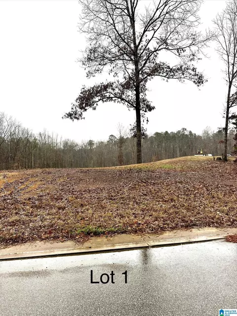 25 Olivia Ln #1, Woodstock, AL 35184