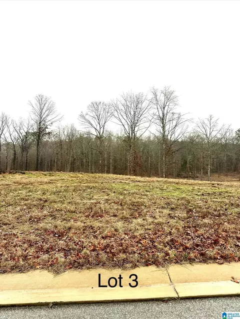 97 Olivia Ln #3, Woodstock, AL 35188