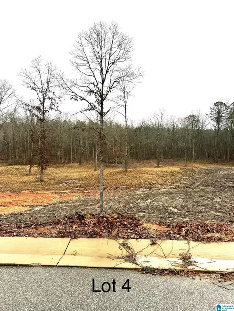 107 Olivia Ln #4, Woodstock, AL 35188