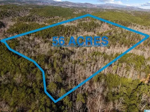 56 Acres County Road 202 #0, Piedmont, AL 36272
