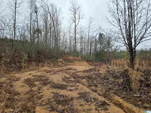 county road 1516, Cullman, AL 35058