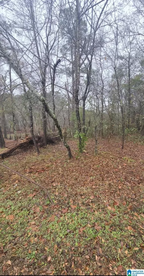 511 Lakeview Cir #0, Harpersville, AL 35078