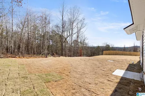 64 Trophy Loop, Lincoln, AL 35096 photo 20