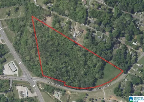 3450 Sweeney Hollow Rd #20 ACRES, Pinson, AL 35126