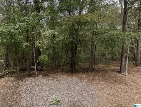15001 Lock 17 Rd #6.435, Adger, AL 35006