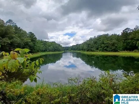 105 Point Aquarius #22, Alpine, AL 35014