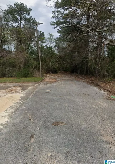 0 Brundidge St #.52 ACRES, Opp, AL 36467
