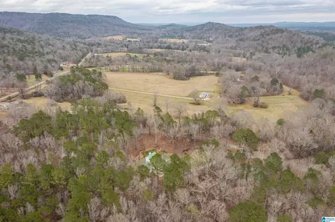Other - 140 Aubra Rd, Steele, AL 35987 photo 14 of 15