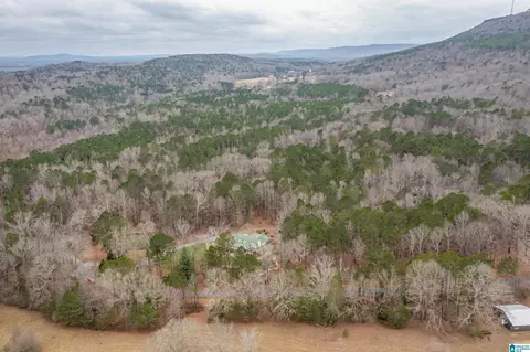 Other - 140 Aubra Rd, Steele, AL 35987 photo 13 of 15