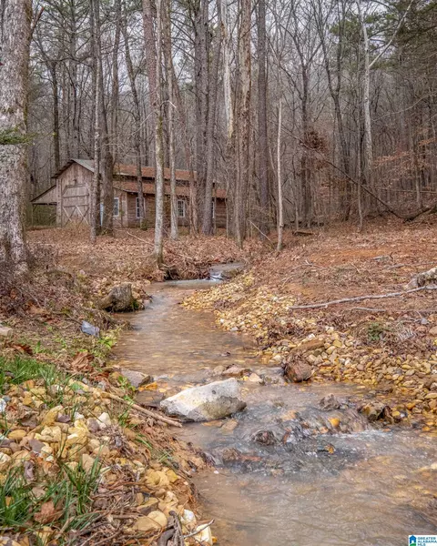 Other - 140 Aubra Rd, Steele, AL 35987 photo 8 of 15