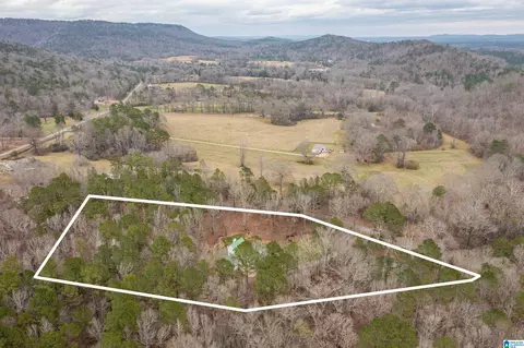 Other - 140 Aubra Rd, Steele, AL 35987 photo 11 of 15