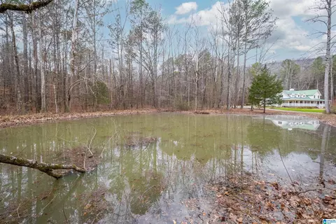 View/Area - 140 Aubra Rd, Steele, AL 35987 photo 1 of 1