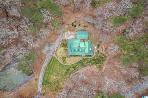 Other - 140 Aubra Rd, Steele, AL 35987 photo 12 of 15
