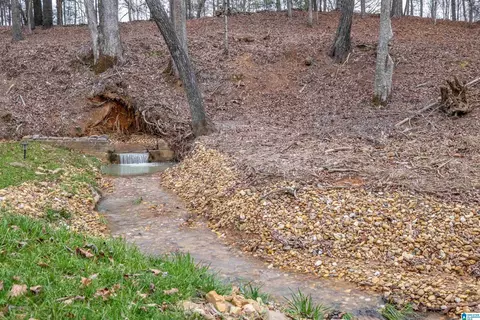 Other - 140 Aubra Rd, Steele, AL 35987 photo 15 of 15