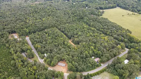 442 Davis St #19.2 ACRES, Wilsonville, AL 35186