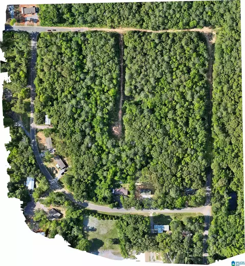 442 Davis St #19.2 ACRES, Wilsonville, AL 35186