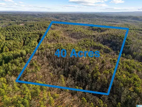 40 Acres County Road 202 #0, Piedmont, AL 36272