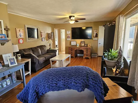 Other - 75 Moore St, Steele, AL 35987 photo 3 of 8