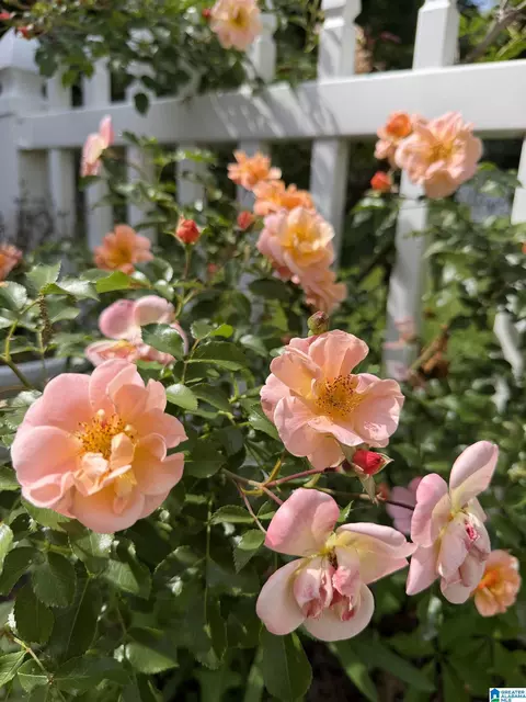 603 Turrentine Ave, Gadsden, AL 35901