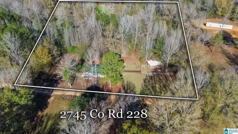 2745 County Road 228, Clanton, AL 35045 photo 2