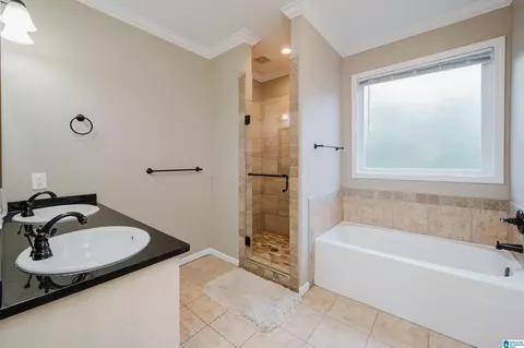 Bath - 20907 Sharon Dr, Lake View, AL 35111 photo 2 of 5