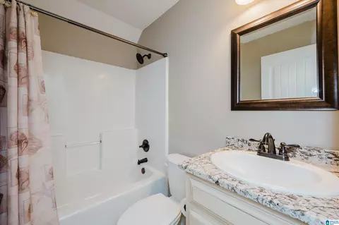 Bath - 20907 Sharon Dr, Lake View, AL 35111 photo 4 of 5