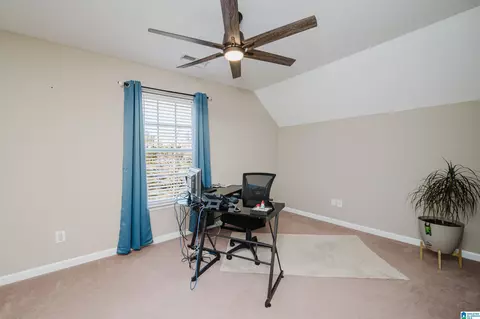 Other - 20907 Sharon Dr, Lake View, AL 35111 photo 6 of 14