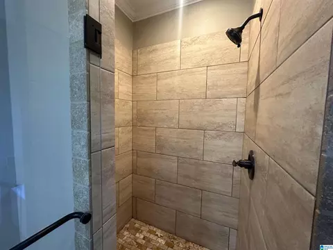 Bath - 20907 Sharon Dr, Lake View, AL 35111 photo 3 of 5