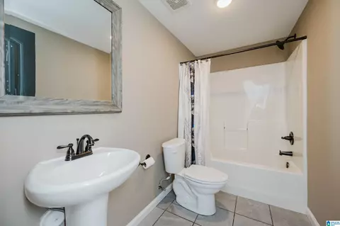 Bath - 20907 Sharon Dr, Lake View, AL 35111 photo 5 of 5
