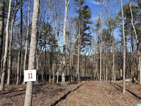 Lot 11 County Road 499 #11, Woodland, AL 36280