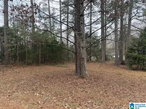 433 6th St N #17, Pell City, AL 35125