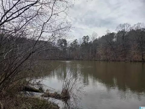 1050 Brookwood Dr #1050, Sylacauga, AL 35151