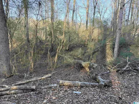 001 Scott Rd #0, Cordova, AL 35550