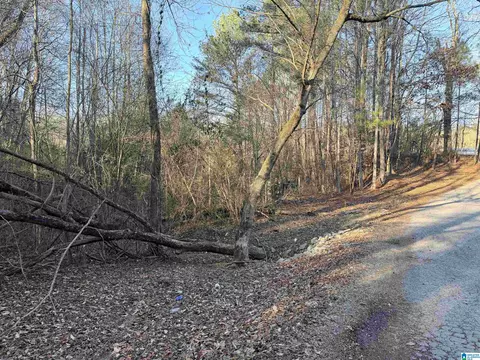 002 Scott Rd #0, Cordova, AL 35550