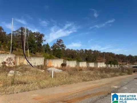 1110 Ranch Marina Rd #6  AV, Pell City, AL 35128